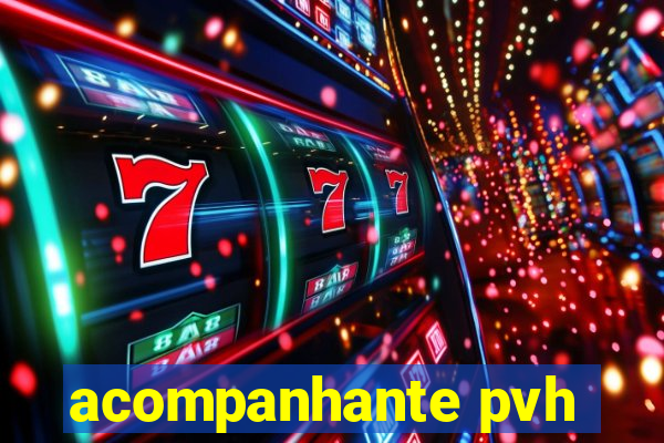 acompanhante pvh